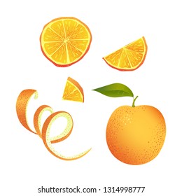 Vector illustration. Set of orange pieces. Collection of different orange elements. Whole, half, slice, peel with serpentine.