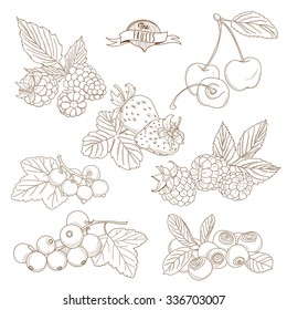 Vector illustration Set of Outline hand drawn berries ( blackberry, cherry, strawberry, currant, raspberry, blueberry)