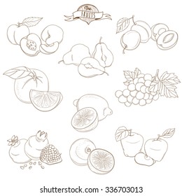 Vector illustration Set of Outline hand drawn fruits with leaves( apple, pear, apricot, plum, orange, lemon, grape, pomegranate, grapefruit, peach)