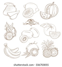 Vector illustration Set of Outline hand drawn fruits with leaves ( mango, lemon, watermelon, dragonfruit, kiwi, orange, grapefruit, banana, coconut, pineapple)
