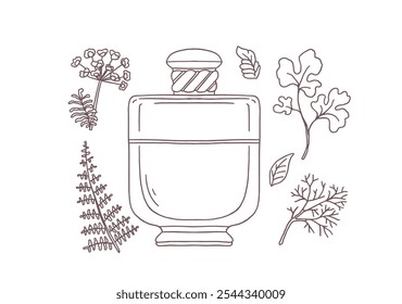 Vector illustration of a set of outline silhouette of a perfume bottle with ingredients. Black and white sketch of a bottle, a fern leaf, an oak tree and a yarrow branch. Isolated background.