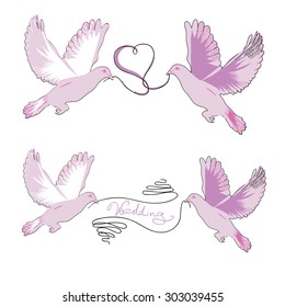 Vector illustration set of a pair wedding doves with a ribbon in beak on white background