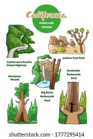 Vector illustration set parks and woods of California all grouped