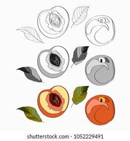 Vector illustration, set. Peach, sliced peach, half peach, peach leaves. Black line, black and white and color image.