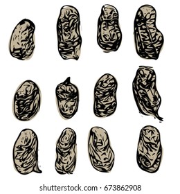 Vector illustration set of peanuts. 