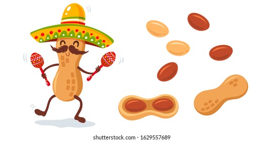 Vector illustration of set peanuts and peanut cartoon with sombrero and maracas. Cute vector cartoon of peanut snack.