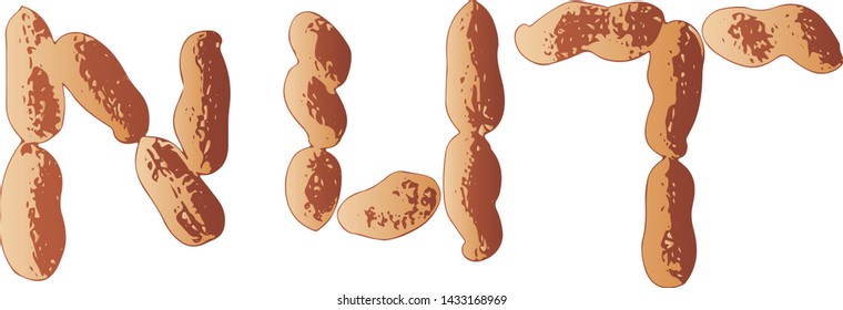 Vector illustration set of peanuts in word form nut. Isolated on white background