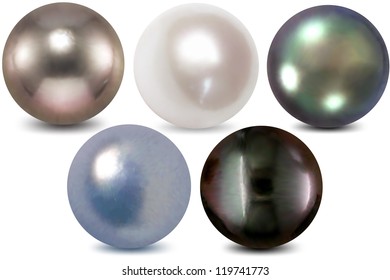 Vector illustration of set pearls