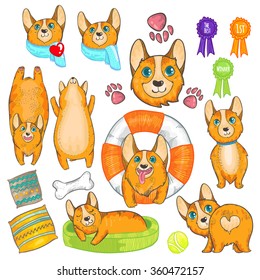 Vector illustration set with pembroke welsh corgi. Cute red dogs. Smiling dog. Funny corgi. Corgi with heart. Sleeping corgi. Resting dog. Doodle dogs. Dog with safety ring.
