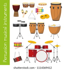 Vector illustration set of percussion musical instruments in cartoon style isolated on white background