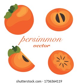 Vector illustration set, persimmon bright color, whole, half and slice of juicy persimmon, fresh colorful persimmon isolated on a white background.