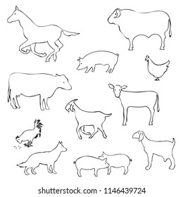 vector illustration set of Pets, linear design