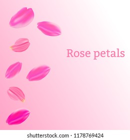 Vector illustration. Set of pink rose petals on a pink background