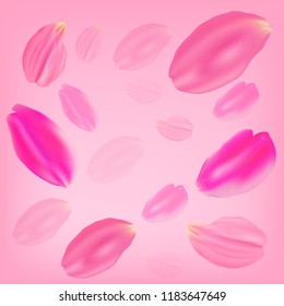 Vector illustration. Set of pink rose petals on a pink background