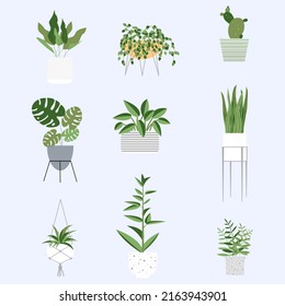 Vector illustration set of Plant in pot. Cartoon flat different indoor potted decorative houseplants for interior home or office decoration.