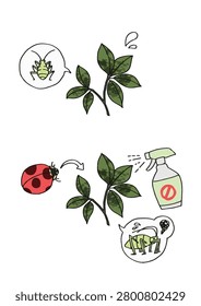 Vector illustration set of plant sooty mold disease caused by aphids, and natural solutions using a ladybug and chemical pesticide spray.