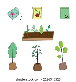 vector illustration set of plant and tree seedlings