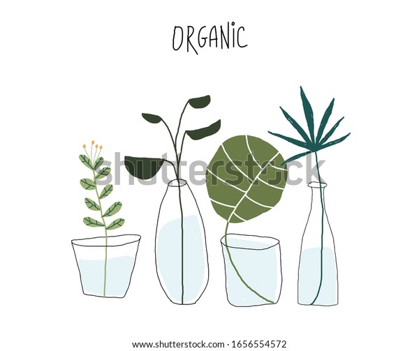 Vector Illustration Set Plants Poster Oraganic Stock Vector (Royalty ...