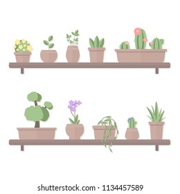 Vector illustration of set of plants in pots standing on shelves isolated on white background