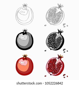 Vector illustration, set. Pomegranate, cut garnet, half a pomegranate, garnet berries. Black line, black and white and color image.