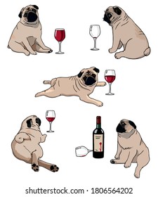 Vector illustration of a set of pugs in different poses with wine