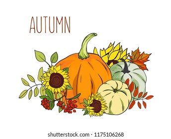 Vector illustration set of pumpkins, autumn red berries and sunflowers. fresh Vegetables on white background. Fall season, autumn poster, sale banner, thanksgiving cards design