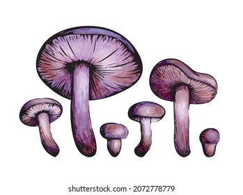 Vector illustration. Set of purple mushrooms. Watercolor lilac mushroom with black outline. Various sizes and shapes. A plant with a long stem and a large lamellar cap.