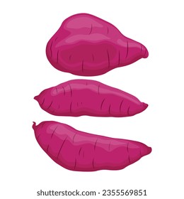 Vector illustration of set of purple sweet potatoes in cartoon flat style. Whole and sliced batata or yam isolated on white background. Organic vegetable root, healthy vegan, nutrition carbohydrate.