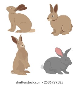 Vector illustration set of rabbit in cartoon flat style. A cute little fluffy rabbit in different pose and color. Illustration of livestock or wild animal isolated on white background for icon,