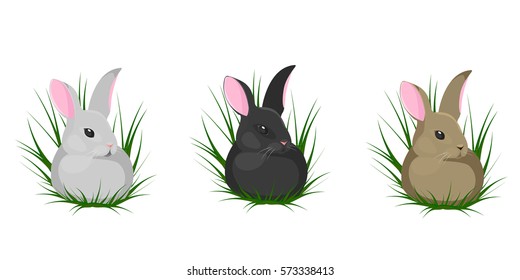 vector illustration set of rabbits of different colors in the grass isolated on white background