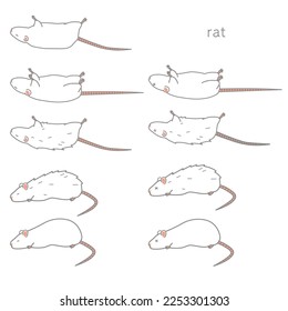 Vector illustration set of rat in poor health
