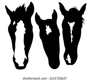 Vektorgrafik-Set bereit zum Drucken: Gesichtsmarkierungen für Pferde, schwarz-weißer Kopfpunkt, Sterne, Schnipsel, Streifen, Glatzmarkierung