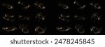 Vector illustration set of realistic gold glitter stardust and white color splatter texture