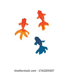 Juego de ilustraciones vectoriales de peces de colores rojo y negro