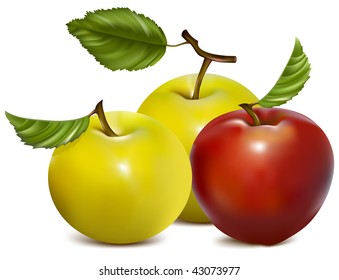 Vector illustration.  Set of red and green apples.