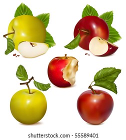 Vector illustration.  Set of red and green apples.