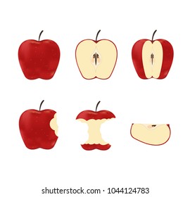Vector illustration of set red ripe apples isolated on white background