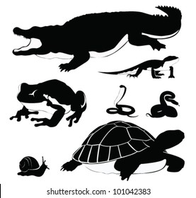 Vector Illustration: Set of reptiles silhouette