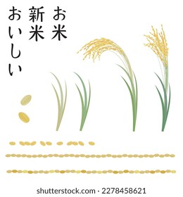 Vector illustration set of rice ear icon, ruled rice grain, and Japanese words "rice", "delicious", and "new rice".