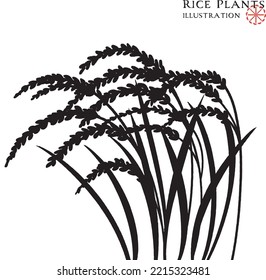 Vector illustration set of rice plant