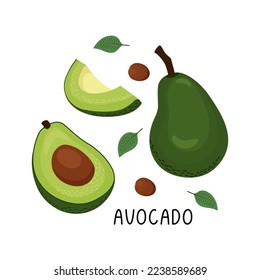 Ilustración vectorial de un conjunto de aguacate fresco maduro, mitades y trozos de fruta, hojas y pozos. Ilustración de frutas de estilo plano aislada en fondo blanco.
