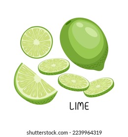 Vector illustration of a set of ripe fresh limes, fruit halves and pieces, leaves. Fruit illustration in flat style isolated on white background.