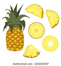 Vector illustration of a set of ripe fresh pineapple, pieces and slices. Fruit illustration in flat style isolated on white background.