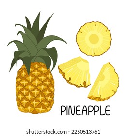 Vector illustration of a set of ripe fresh pineapple, pieces and slices. Fruit illustration in flat style isolated on white background.