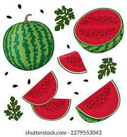 Vector illustration of a set of ripe red watermelon, pieces and slices. Fruit illustration in flat style isolated on white background.