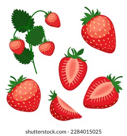 Vector illustration of a set of ripe strawberries, pieces. fruit slices and leaves. Fruit illustration in flat style isolated on white background.