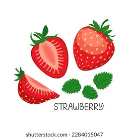 Vector illustration of a set of ripe strawberries, pieces. fruit slices and leaves. Fruit illustration in flat style isolated on white background.