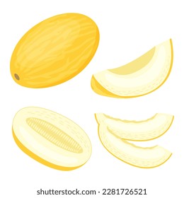 Ilustración vectorial de un conjunto de melón amarillo maduro, piezas y rodajas. Ilustración de frutas de estilo plano aislada en fondo blanco.