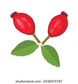 Vector illustration set of rosehip cerry fruit in cartoon flat style. Wild rose berry hip set cartoon. fruit leaf, tea red, plant vitamin, healthy natural, briar organic, herbal wild, medicine rosehip
