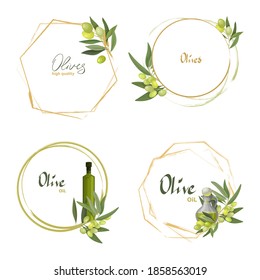 Vector illustration set round frame or wreath of an olive tree with fruits and a bottles of olive oil. For invitations, thank you cards, labels and advertisements